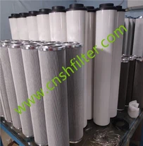 Dupleksa filtra elements BLG-2800X20A